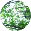 Ankit Agarwal profile picture